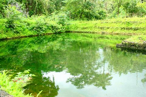 Shri Gopinath Devastan Temple - Download Goa Photos